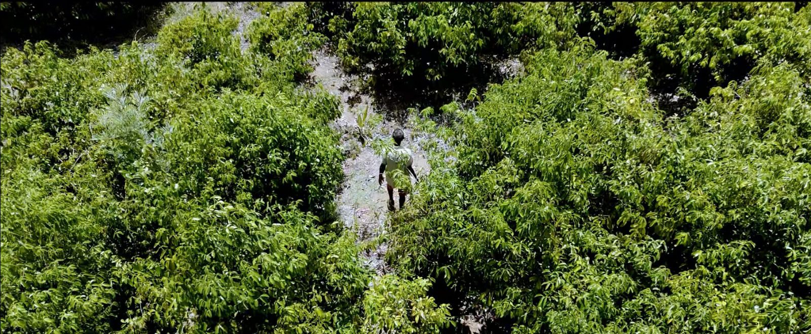 Madagascar-origin sourcing partner